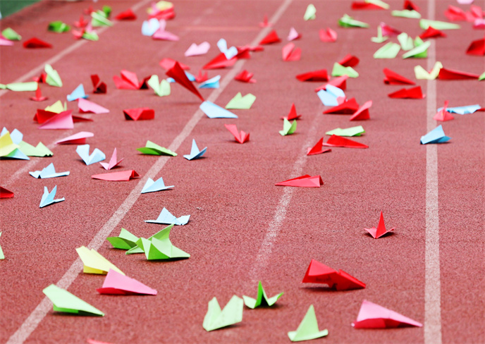 1710485711531958.jpg 495a56194f426942ba5610ba1badc3e.jpg