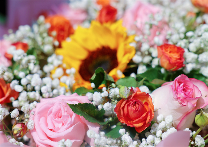 1718243542135537.jpg 6cb1f9ab479692914036025601ecfe4.jpg