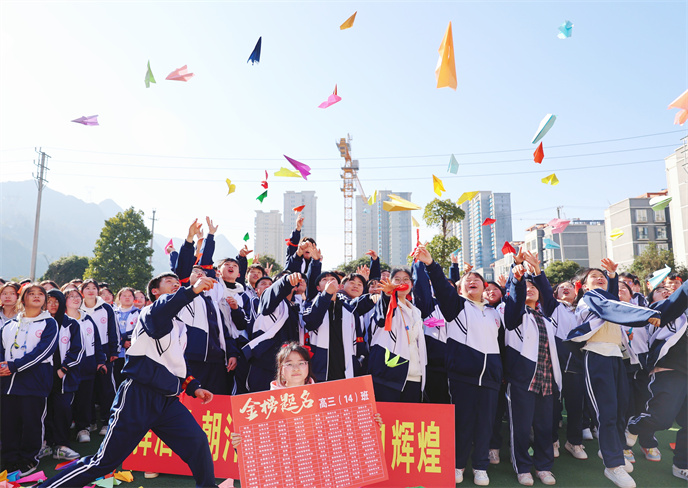 1741158556830857.jpg 8df66bd24d6c1f389ea2c6d3116662e.jpg